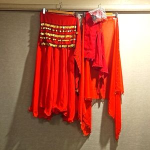 Beautiful Red Bellydance Skirt, Coin belt, Veil, Top & accessories